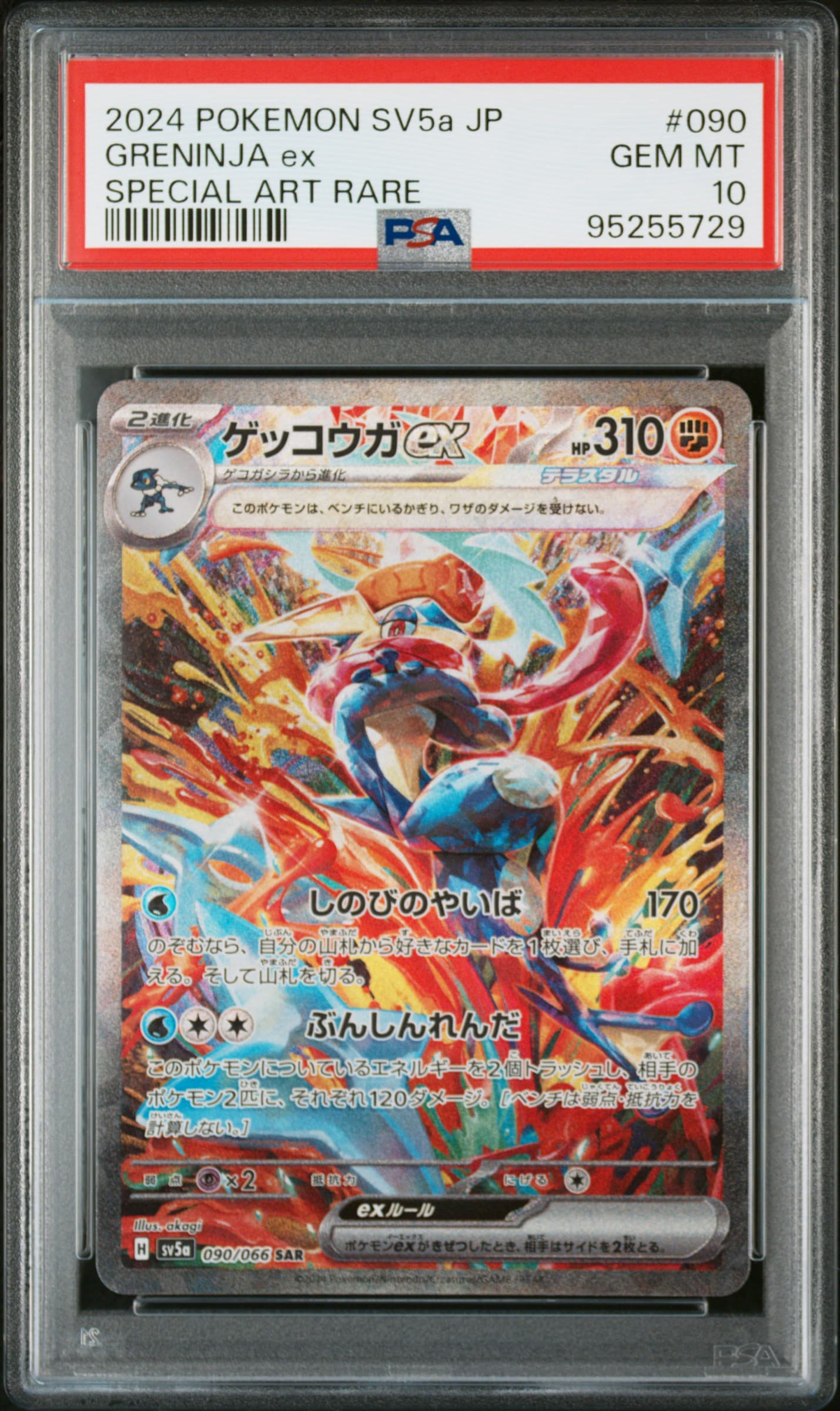 Amphinobi ex (sv5a 090)